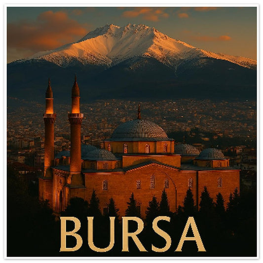 42d7be88-7b02-425c-a867-fd0673dbb146