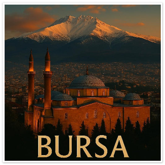 d4c20997-7dd9-4a50-a467-967621cdc0af